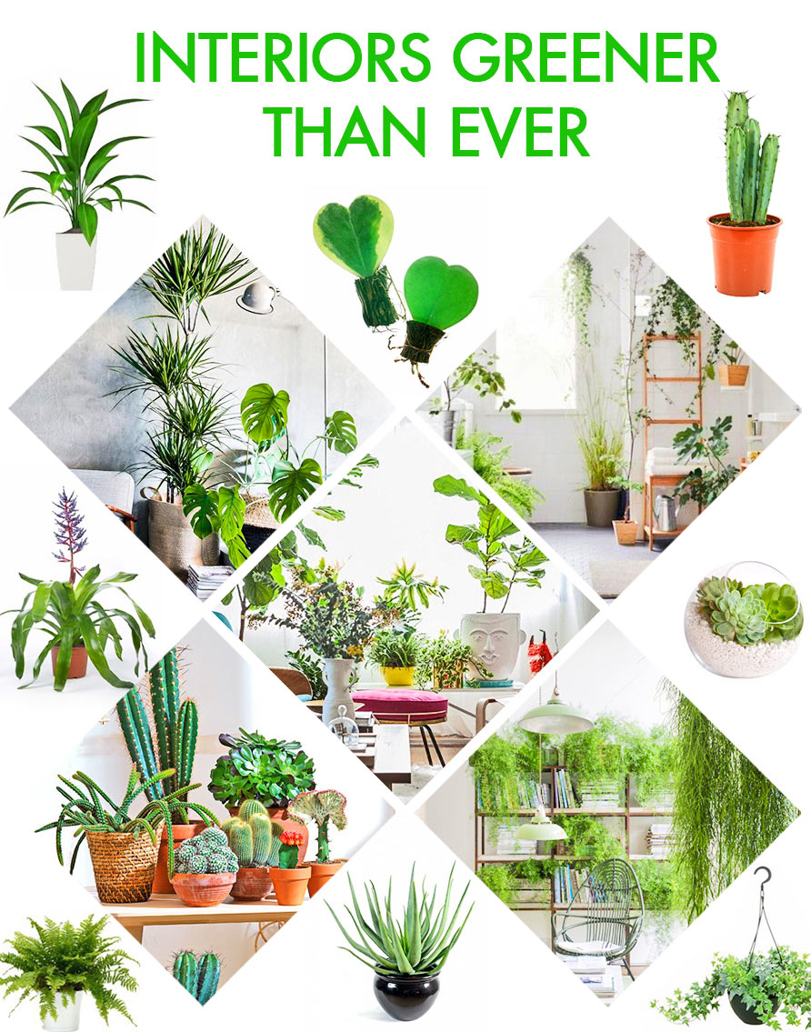 100% Spring Plant Trend Book of Spring 2017